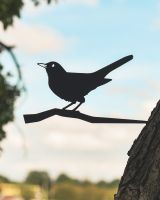 Blackbird Iron Tree Spike - Black