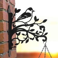 Blackcap on Branches Steel Hanging Basket Bracket