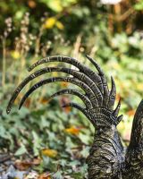 Close up of black and gold rooster tail