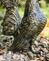 Close up of black and gold rooster wing