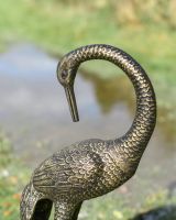 Close up of crane facing back neck
