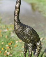 Close up of neck and chest of Standing crane