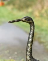 Close up of freestanding crane sculpture"s head