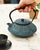 Cast Iron Teal Oriental Style Teapot With Black Handle In Situ 