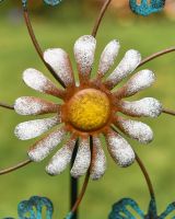 Blue Butterfly and Daisy Flower Garden Spinner Daisy Close Up