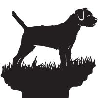 Close-up of the Border Collie Weathervane Topper