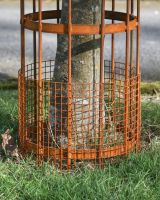 Close Up Of The Wire Around The Wrought Iron Burghley Tree Guard Close Up Of The Wire Around The Wrought Iron Burghley Tree Guard
