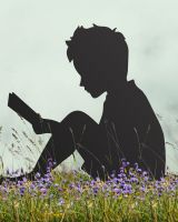 Boy With Book Silhouette sitting in lavender field Boy With Book Silhouette sitting in lavender field