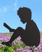 Boy With Book Silhouette sitting in a field of flowers with a blue sky Boy With Book Silhouette sitting in a field of flowers with a blue sky