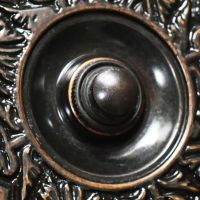 Welcome button buzzer button