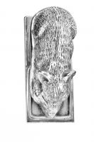 Bright Chrome Dormouse Door Knocker