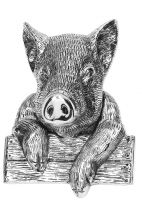 Bright Chrome Percy Pig Door Knocker Bright Chrome Percy Pig Door Knocker