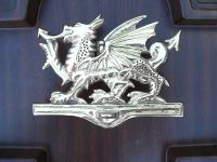 Bright Chrome Welsh Dragon Door Knocker