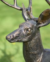 Close-Up of Facial Detail on Bronze Cast Aluminium Standing Stag Sculpture - Facing Left