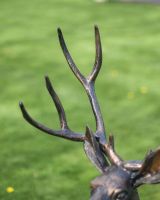 Standing Stag Sculpture antler close up