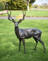 Bronze Cast Aluminium Standing Deer Sculpture - Facing Left in Situ