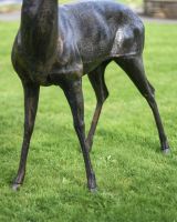 Close-Up of Freestanding Leg Supports for Stag Sculpture