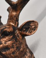 Stag Wall Bust Close Up