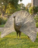 Bronze Finish Peacock Sculpture with Open Tail ai illustration