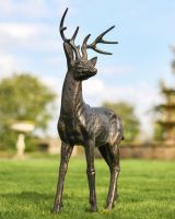 Cast Aluminium Standing Buck Sculpture in Situ in the Garden