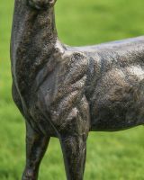 Close-up of the Brushed Bronze Finish on the Standing Buck Sculpture 