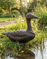 Bronze Sitting Duck Sculpture ai illustration