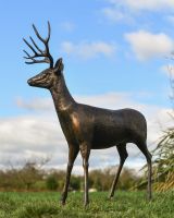 Cast Aluminium Brushed Bronze "Shadow" Buck Sculpture Cast Aluminium Brushed Bronze "Shadow" Buck Sculpture