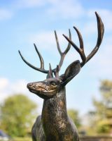 Close-up of the Head on the Stag Sculpture