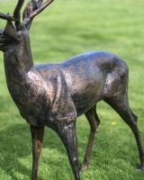 Standing Stag Sculpture view of back