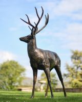 Antique Bronze Aluminium Stag Sculpture in Situ in the Garden