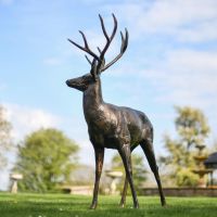 Bronze Standing Deer Sculpture - Facing Right