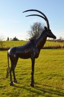 East African “Sable Antelope” Sculpture 