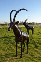 East African “Sable Antelope” Sculpture 