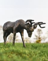 "Arthur" Buck Grazing Garden Sculpture