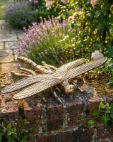 Brushed Gold "Prehistoric" Dragonfly Garden Sculpture Digital Illustration Brushed Gold "Prehistoric" Dragonfly Garden Sculpture Digital Illustration
