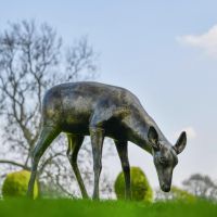Brushed Gold Doe Eating Garden Sculpture