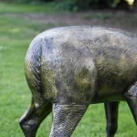 Rear view of Brushed Gold Doe Sculpture 
