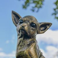 Close up of Chihuahua Sculpture Face 