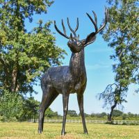 "Ryder" Brushed Gold Standing Deer Sculpture - Looking Right