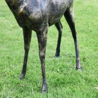 Legs on the Brushed Gold Standing Deer Sculpture
