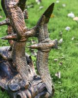 Close up of low seagulls