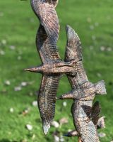 Close up of central seagulls