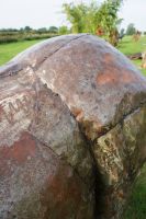 "Southern Saharan Cape” Buffalo Garden Sculpture 