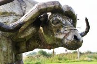 "Southern Saharan Cape” Buffalo Garden Sculpture 