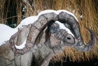 "Benoinian" West African Savanna Garden Sculpture