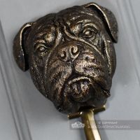 Close-up of the Bullmastiff"s Face