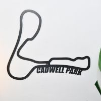 Cadwell Park Race Track Natural Steel Wall Art on the Wall Next to Plants