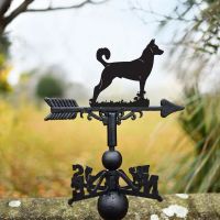 "Canaan" Dog Weathervane