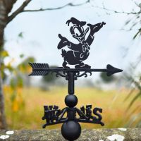 Cartoon Male Duck Weathervane in Situ
