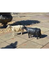 Cast Iron Cow Card Sculptures Cast Iron Cow Card Sculptures